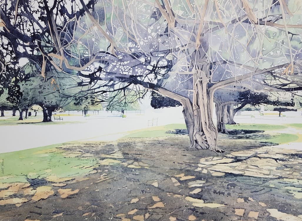 Searching for Shade, The Great Fountain Garden