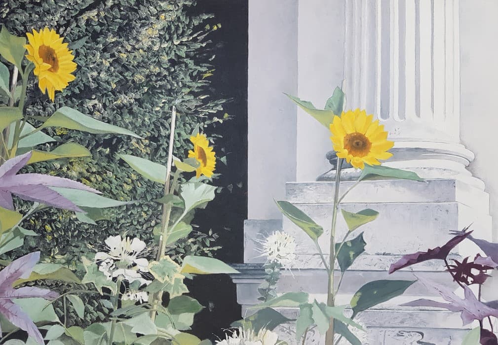 Sunflower and Cleomes by the Lion Gate