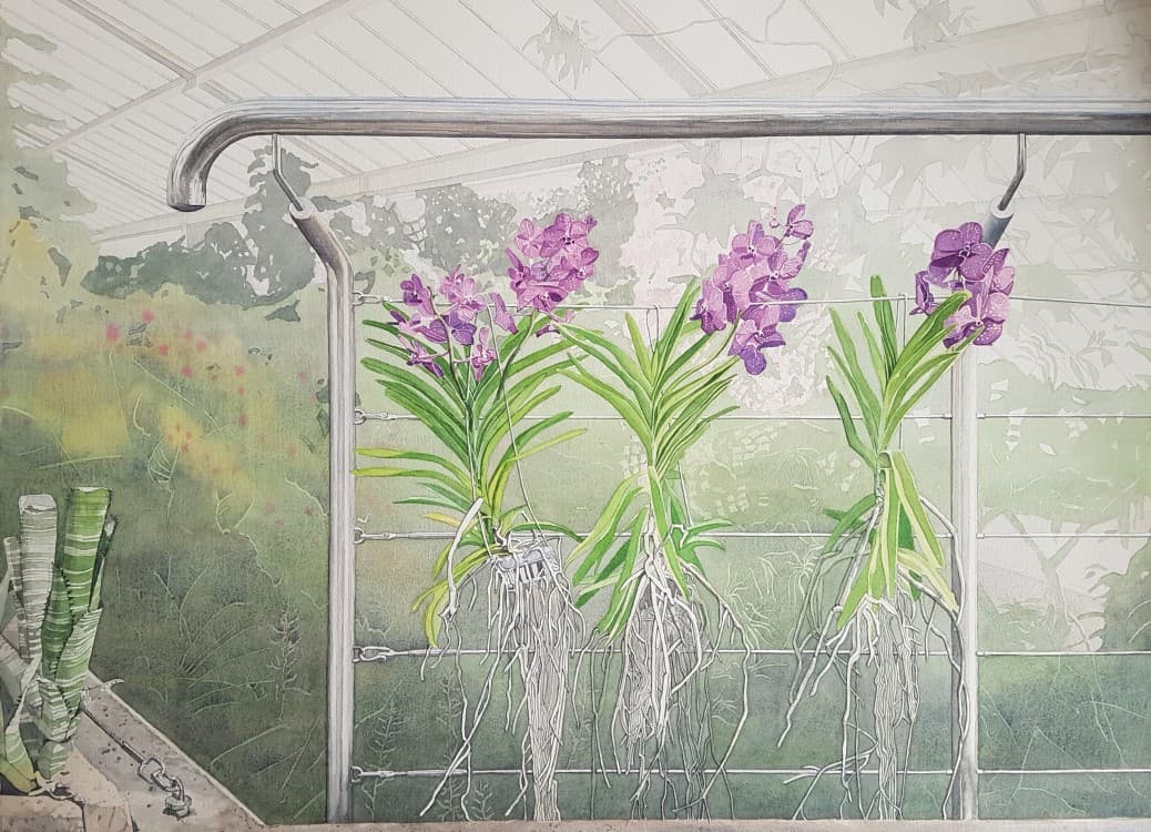 Orchid Balustrade, Princess of Wales Conservatory