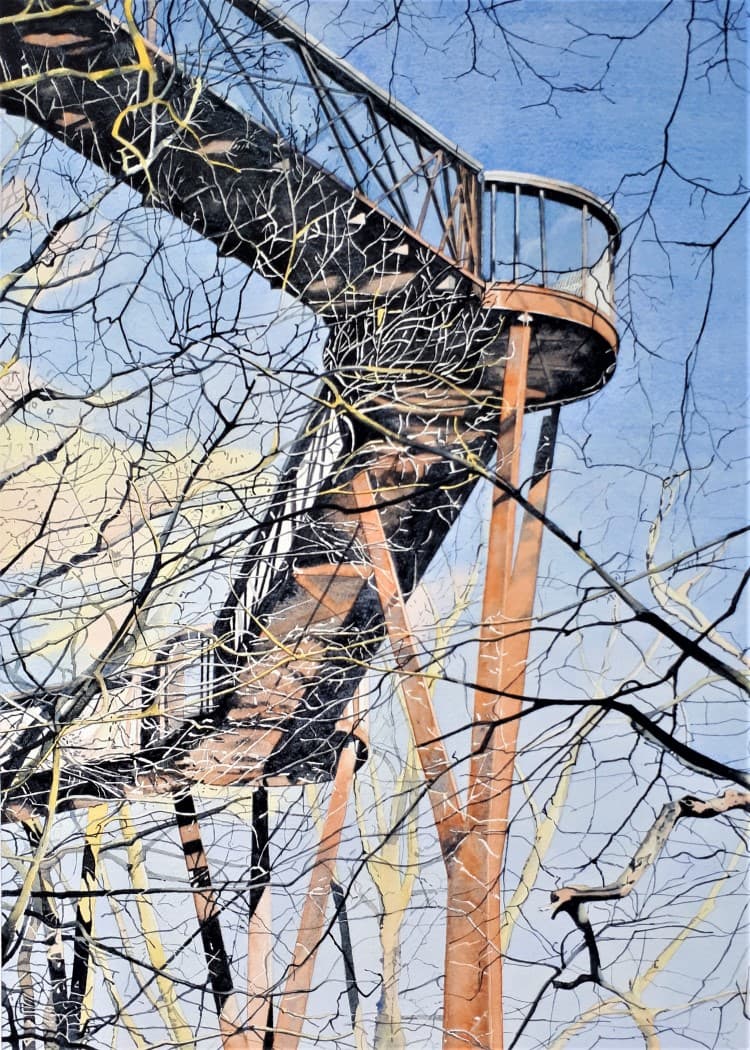 Winter, Treetop Walkway