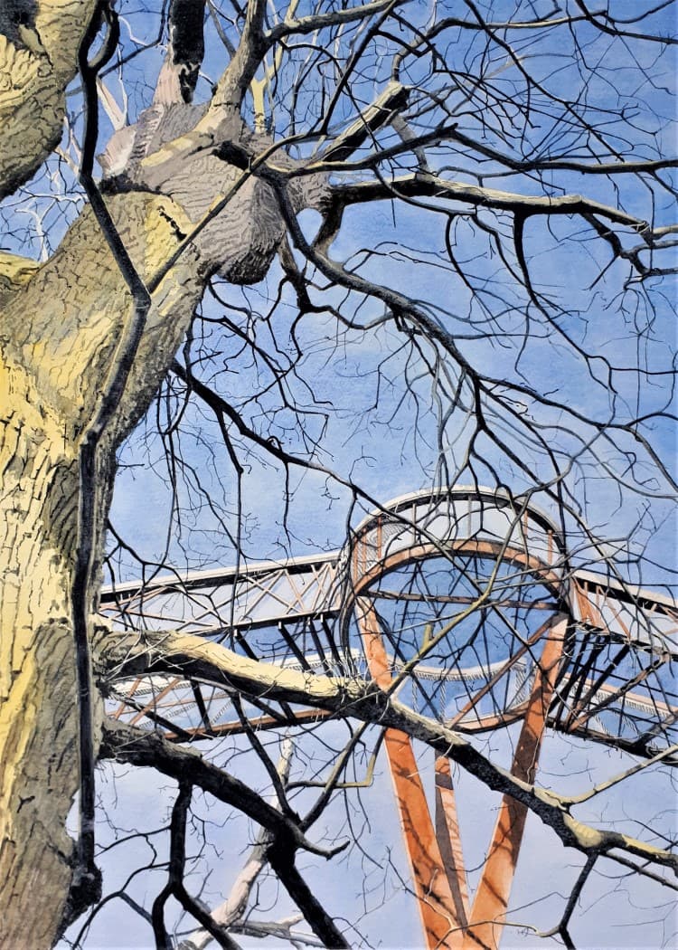 Winter, Viewing Platform, Treetop Walkway